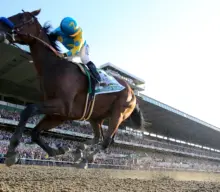 Living the American Dream is Just Spectacular!