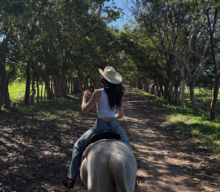 “FÁTIMA BOSCH MS UNIVERSE 2026!”